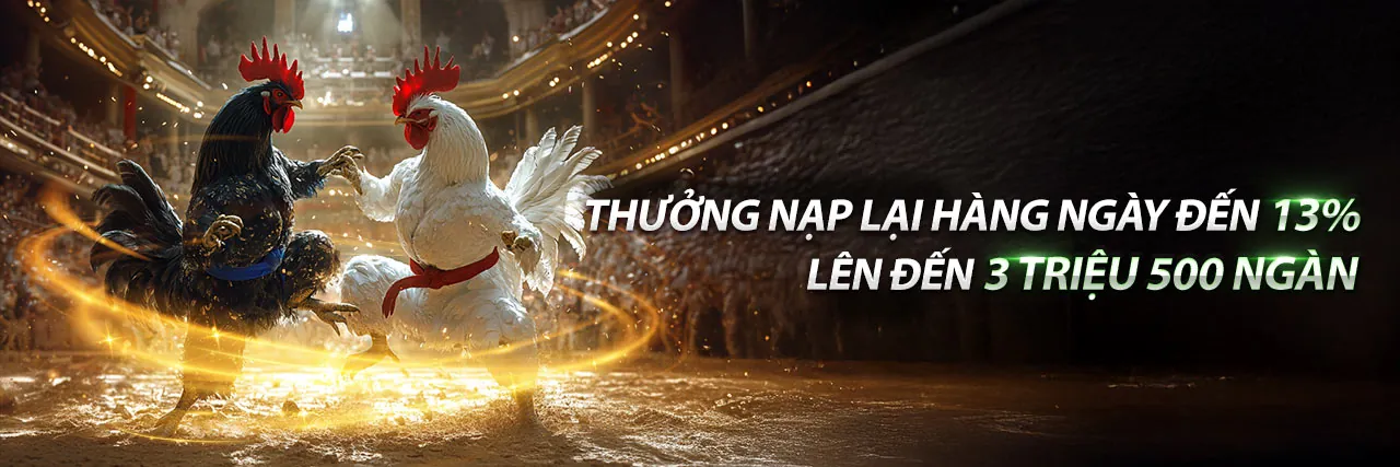 Đấu trường đá gà kịch tính tại mibet code